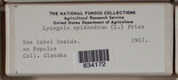 Image Associated With the Occurence